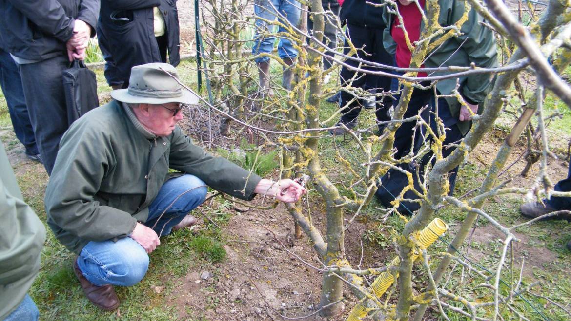 Jardin pratique